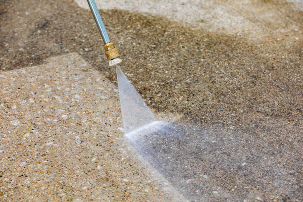 Animal Enclosure Cleaning in Clay, AL